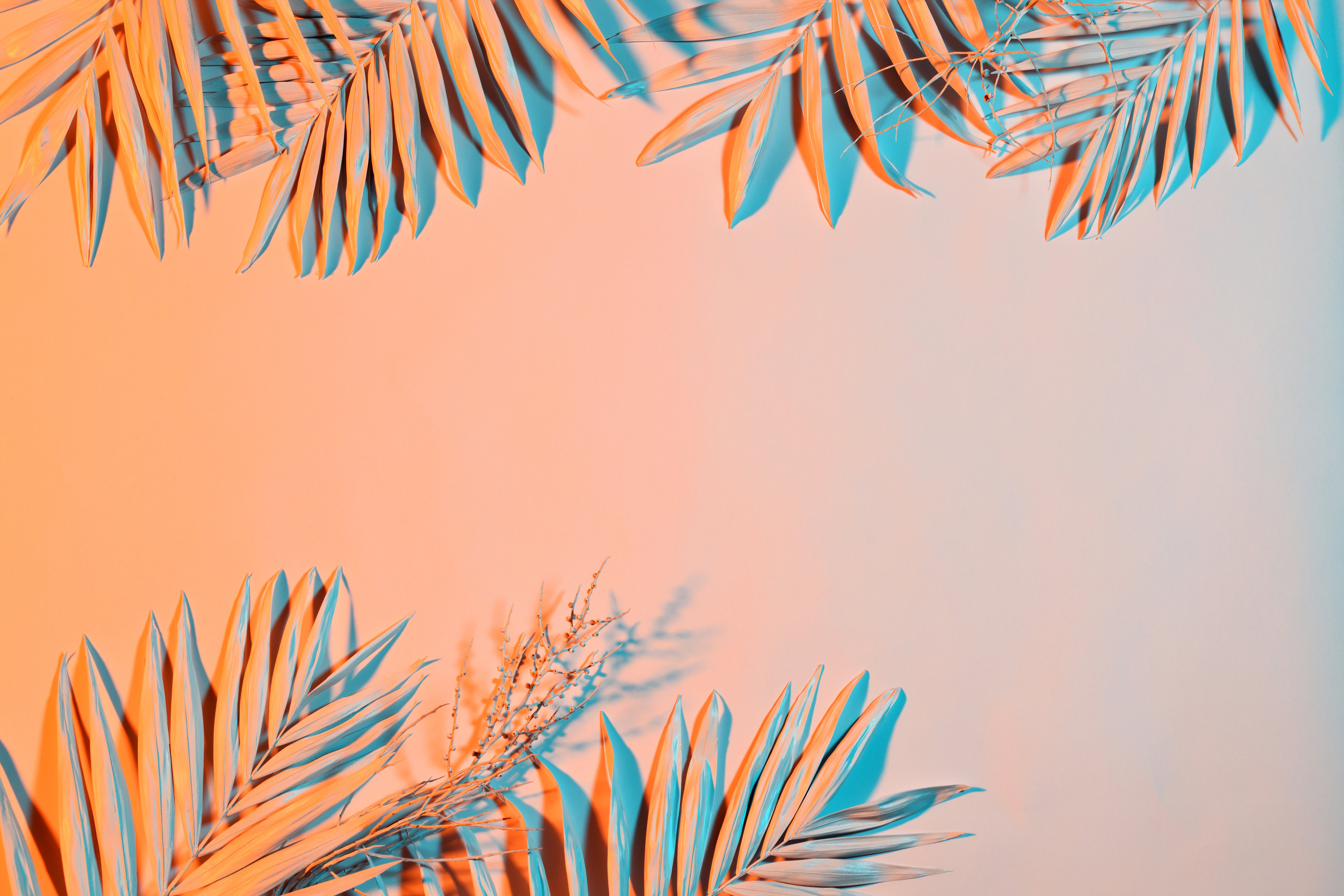 Pastel-Colored Palm Leaves